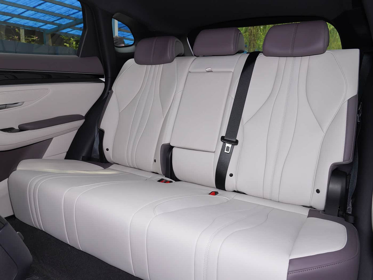 BYD Song Plus – Dignity Version (112 KM)