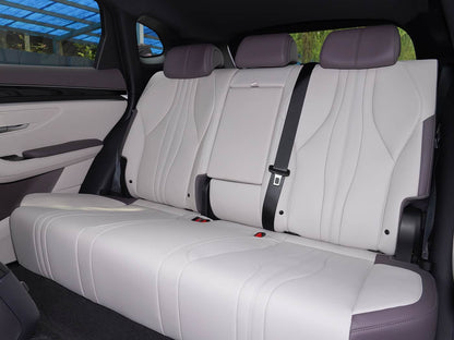 BYD Song Plus – Dignity Version (112 KM)