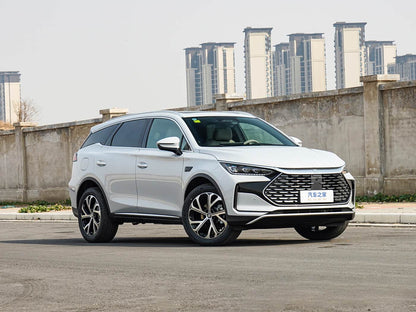 BYD Tang DM-i 2025 – Híbrido Enchufable 115 km Premium
