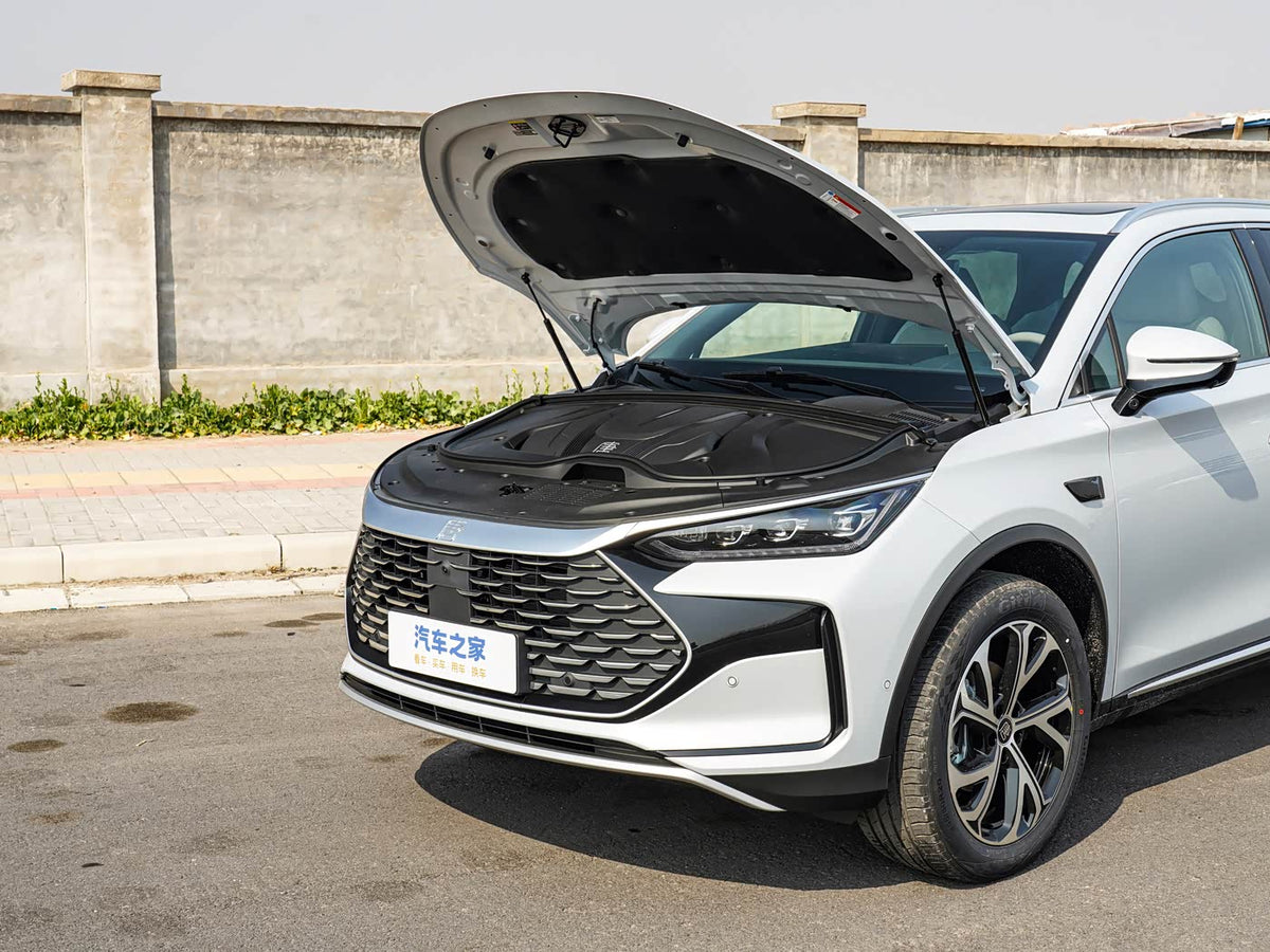 BYD Tang DM-i 2025 – Híbrido Enchufable 115 km Premium