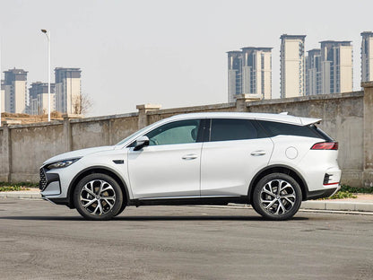 BYD Tang DM-i 2025 – Híbrido Enchufable 115 km Premium