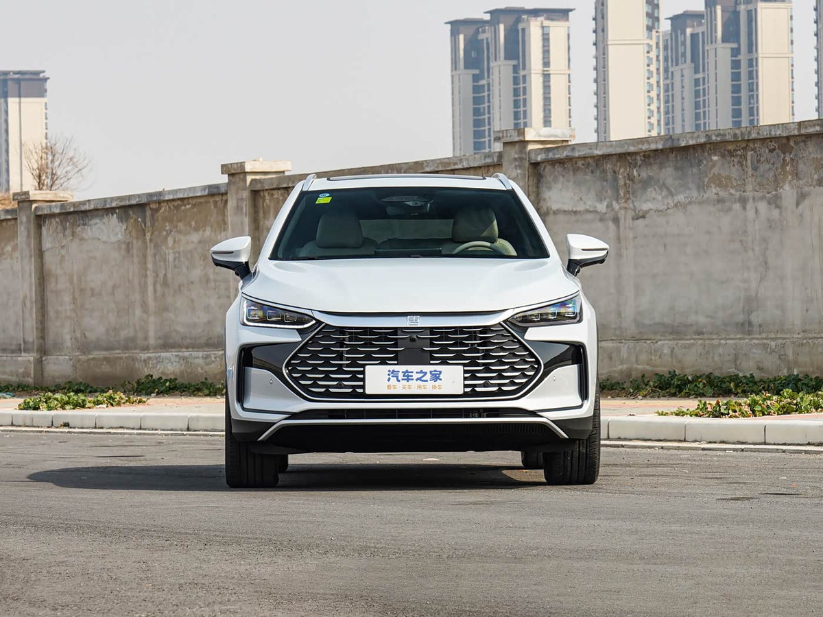 BYD Tang DM-i 2025 – Híbrido Enchufable 115 km Premium
